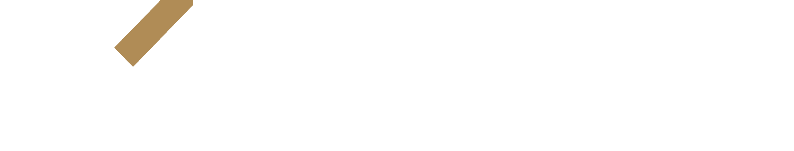 Xshop_color_white Xshop Logo